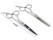Professional Hair Cutting Barber Scissors Set