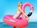 Flamingo Adult Inflatable Swimming Pool Float