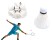 Feather Shuttlecocks Badminton Balls 12PCs