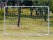 Steel Soccer Goal 1.8m, Heavy Duty, Backyard