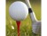 50-Pack 83mm Plastic Golf Tees for Golfers