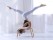 Wooden Headstand Bench Yoga Chair - White