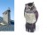 Owl Bird Scarer with Moveable Head