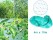 Green PE Bird Netting 10 x 4m