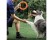 Durable Dog Flying Disc NZ - Chew & Fetch Toy, Floats