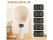 Digital Measuring Spoon Scale High-Precisionfor Food & Pet