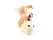 Cat Teaser Mouse Cat Toy