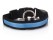 LED Dog Pet Flashing Light Up Safety Collar Blue L
