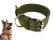 Dog Collar Dog Lead 66cm Adjustable - Olive