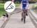 Dog Bike Leash Bicycle Dog Leash Attachment Kit