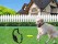 The Shock Collar for Dog Fence