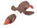 Wild Goose Squeaker Toy Pet Chew Toy Brown for Dog/Cat (Brown)
