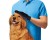Pet Cleaning Grooming Glove - Right Hand
