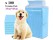 Puppy Pads Dog Pee Training Pads 100pk 33x45cm
