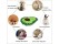 Dog Snuffle Mat Slow Feeding Training Mat for Dog