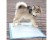 Puppy Pads Dog Pee Training Pads 100pk 33x45cm