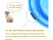 Pet Bowl Anti-Ant Dog Bowl Anti Ant Cat Feeder