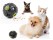 Funny Treat Dispensing Chew Ball for Pets