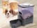 Pet Feeder Dog Cat Automatic Programmable Feeder