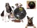 Funny Treat Dispensing Chew Ball for Pets